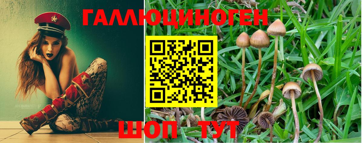 Псилоцибиновые грибы MAGIC MUSHROOMS Янаул